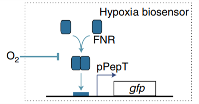 fig3