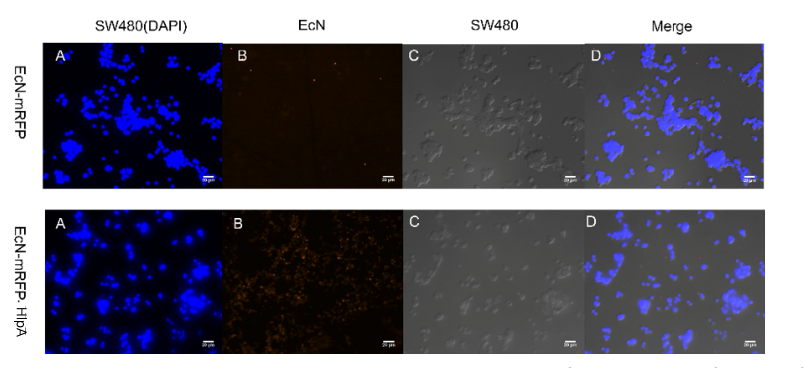 fig10