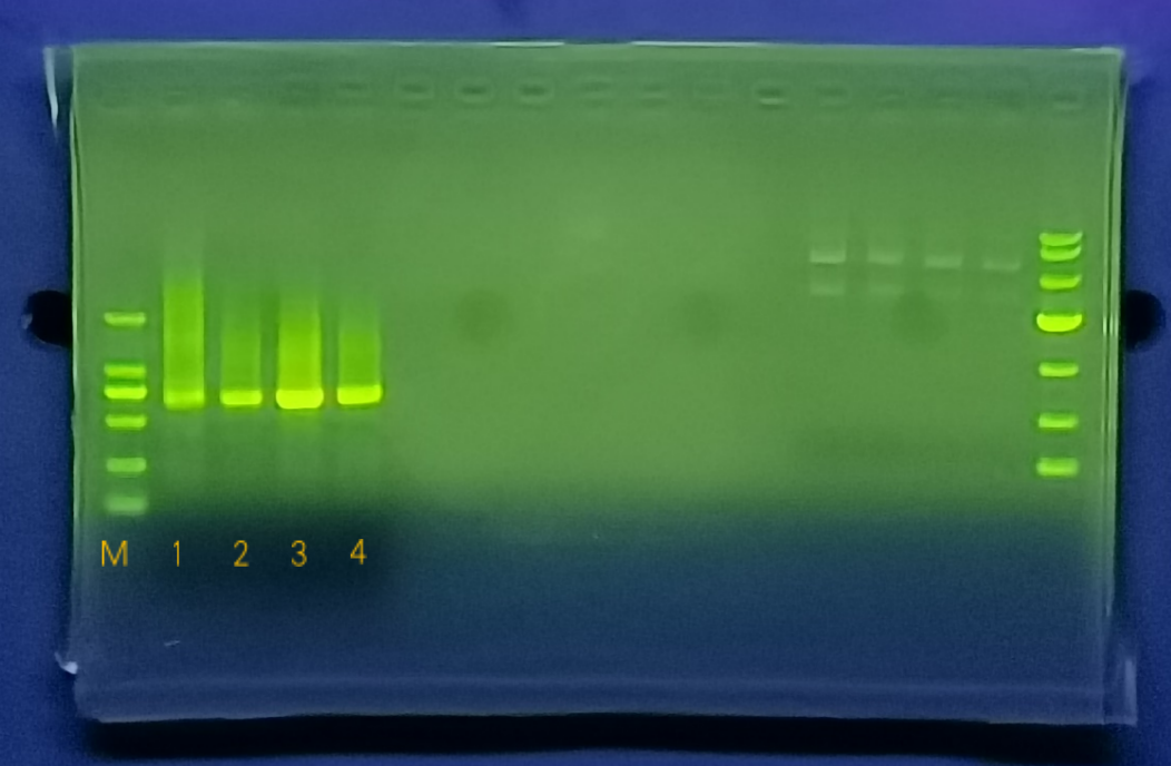 fig2-3-1b image