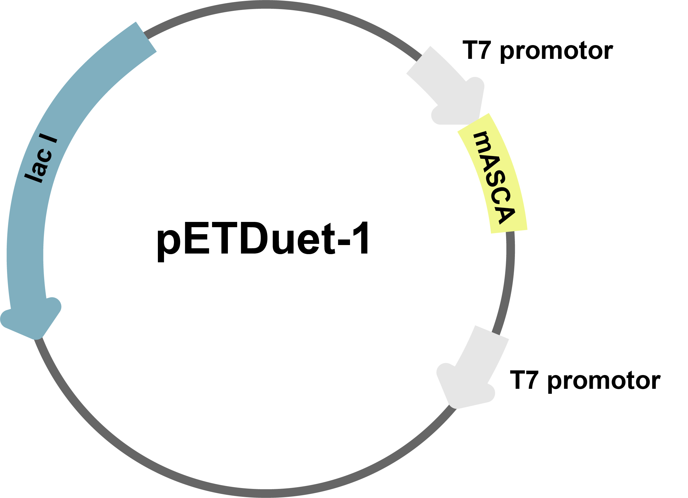 fig2-3-1c image