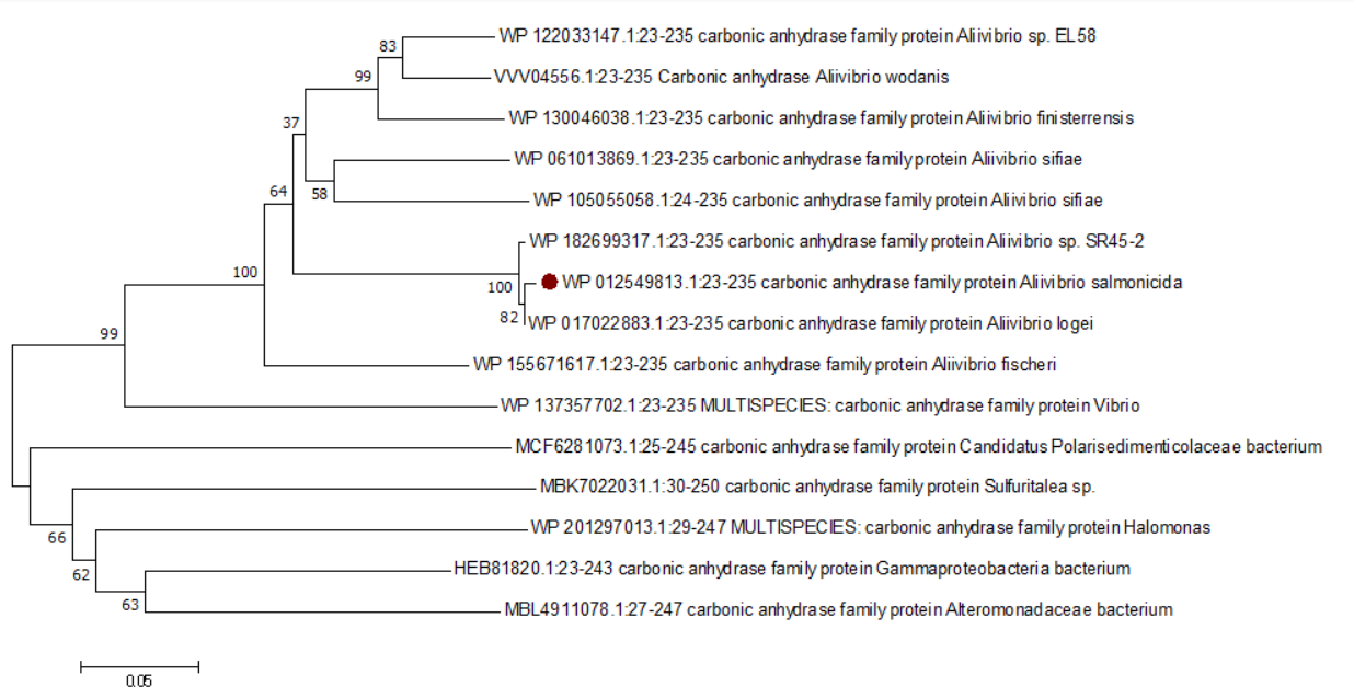 fig3 image