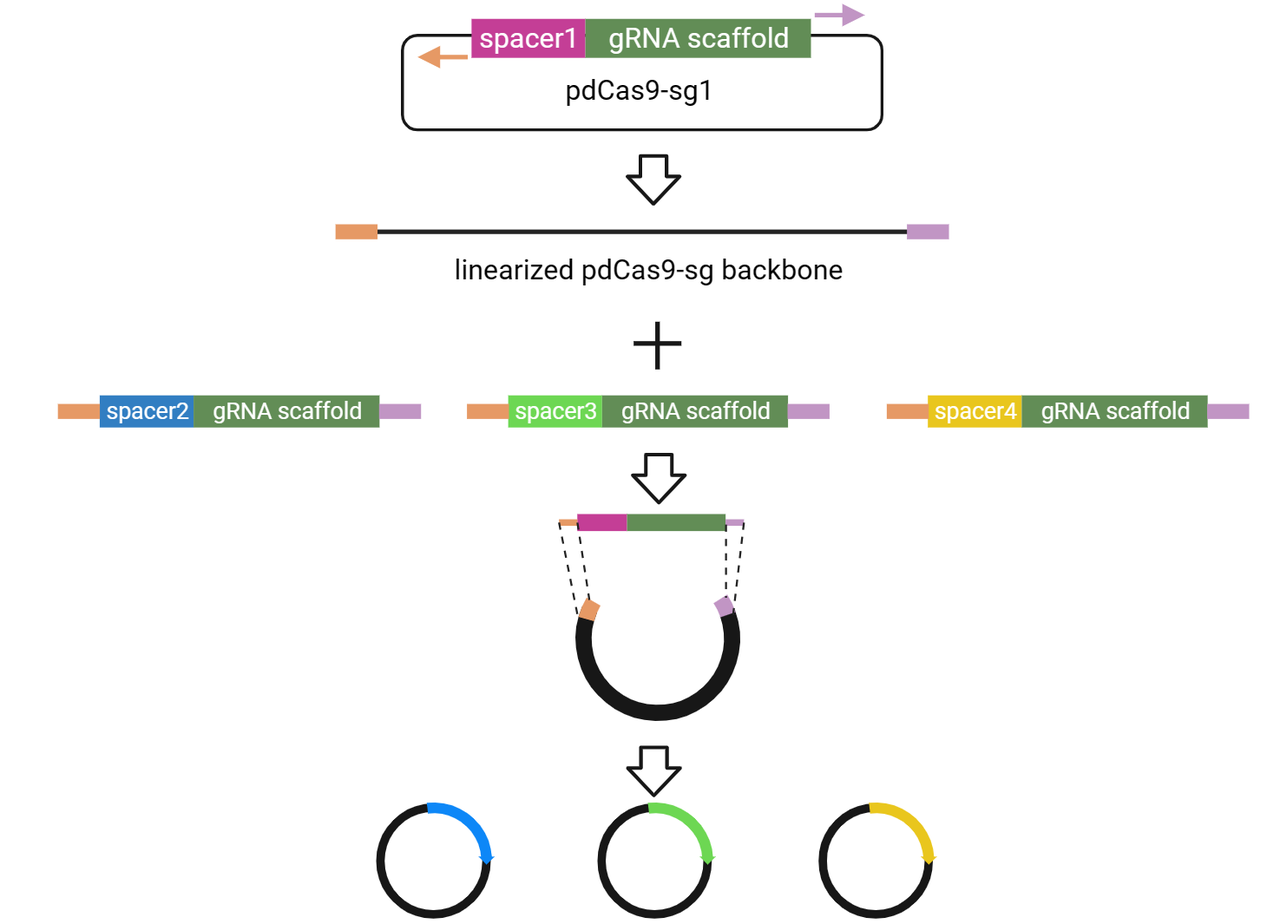 Figure 11