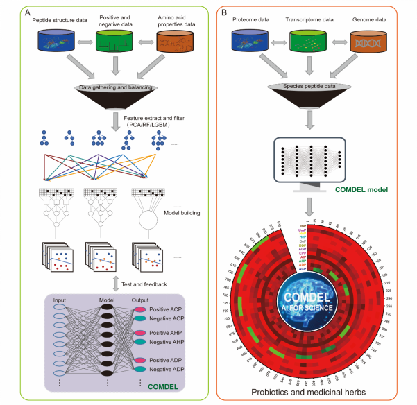 Figure 1. COMDEL application