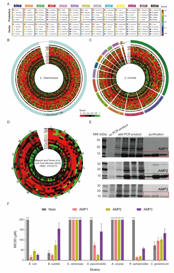 Figure 5. Application of COMDEL on probiotics and medicinal herbs