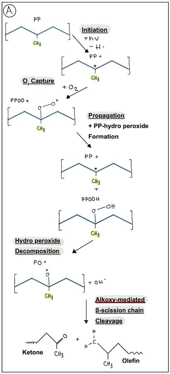 Figure1A