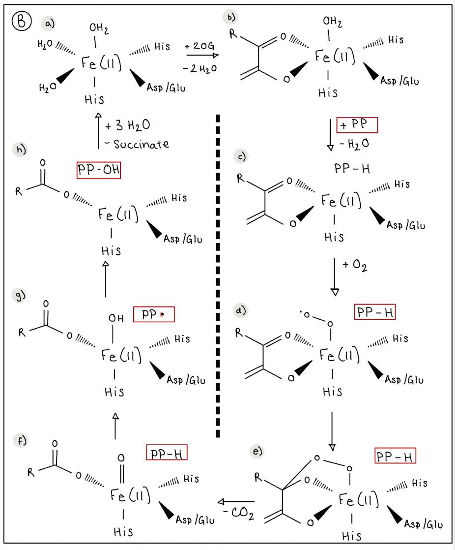 Figure1B