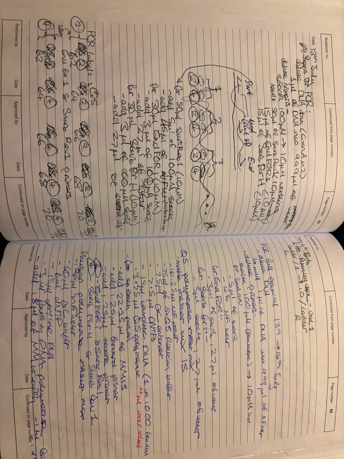 Scanned notebook page 7