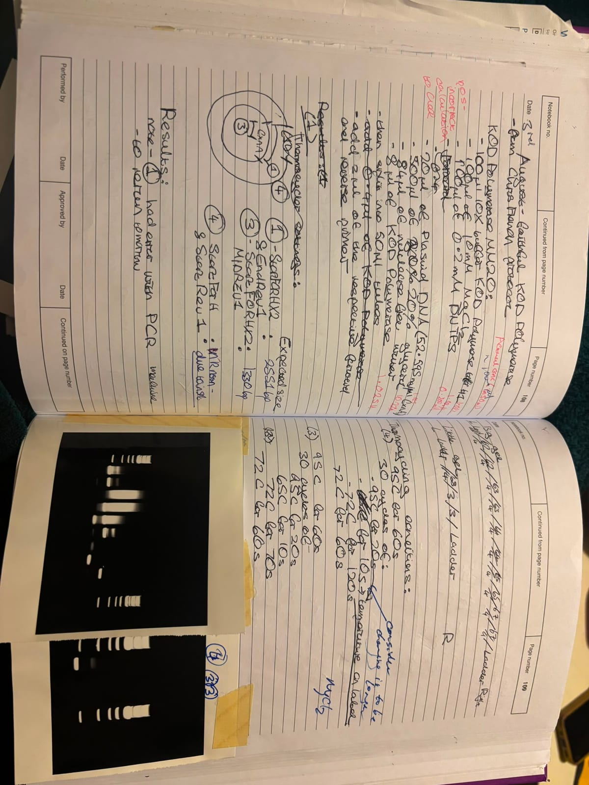 Scanned notebook page 19