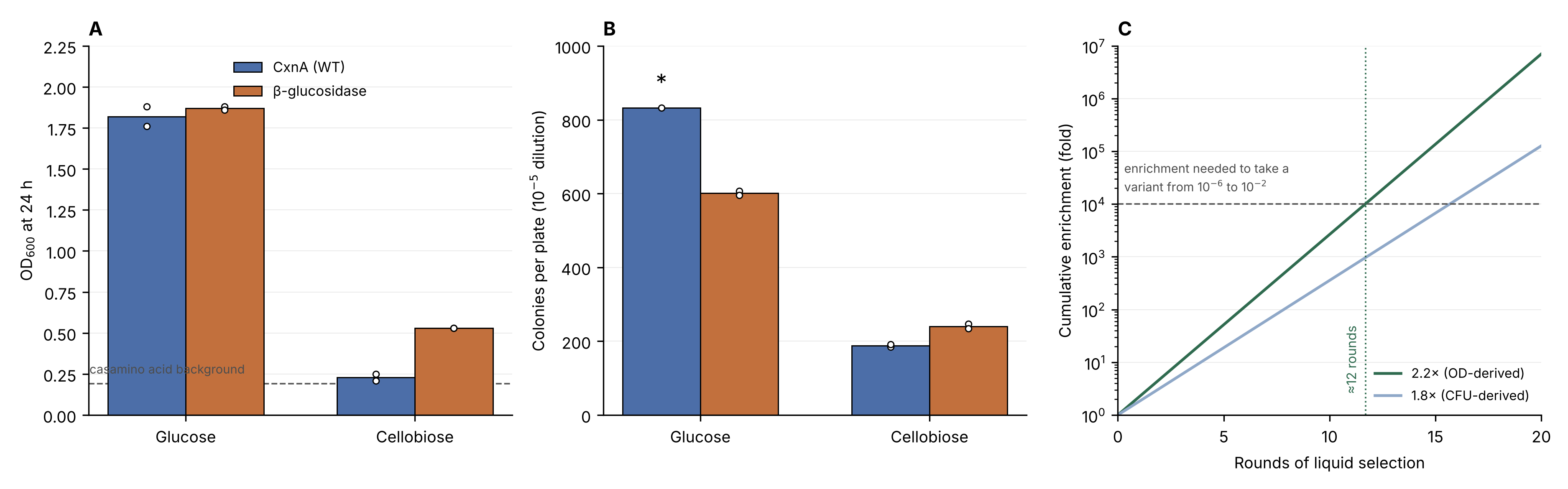 Three-panel chart: OD600 at 24 hours on glucose versus cellobiose for CxnA and a beta-glucosidase control, viable colony counts under the same conditions, and cumulative enrichment over rounds of liquid selection