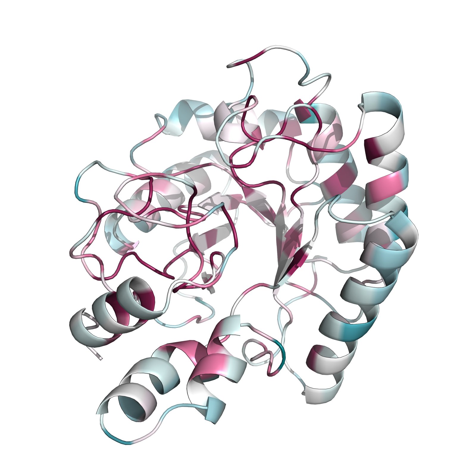 CenA structure coloured by evolutionary conservation (ConSurf)