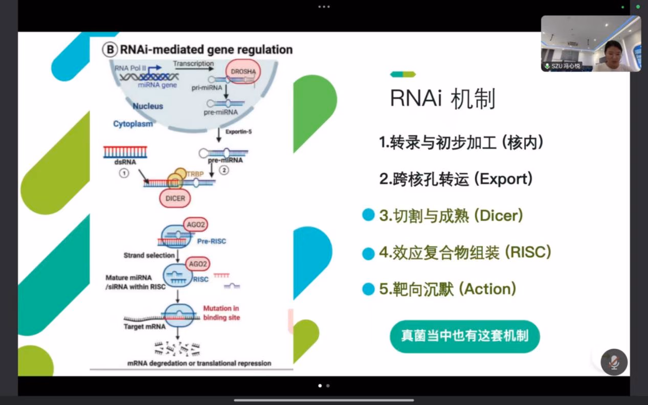 2.5 Collaboration with Shenzhen University Research Team — Image 26