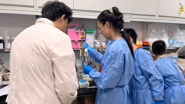 A Guided Laboratory Experience — Image 13