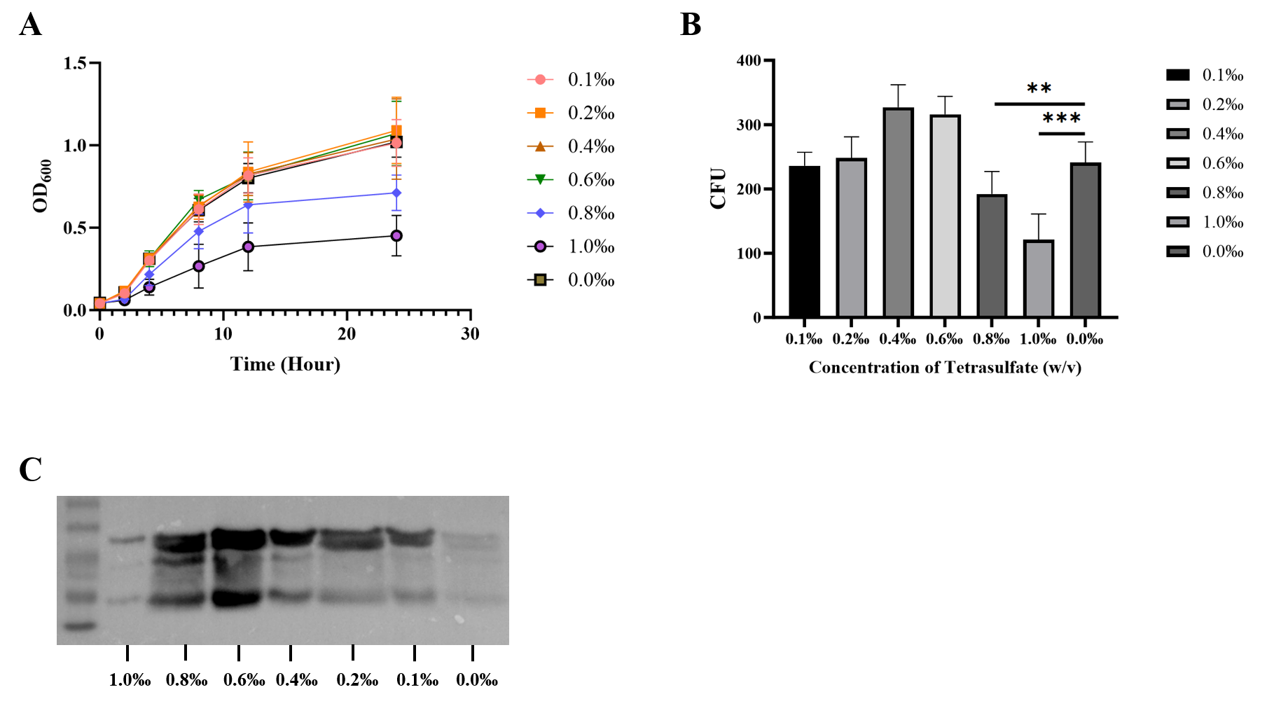 Figure 3. Growth curves, colony counts, and β-actin reporter blot across tetrathionate conditions.