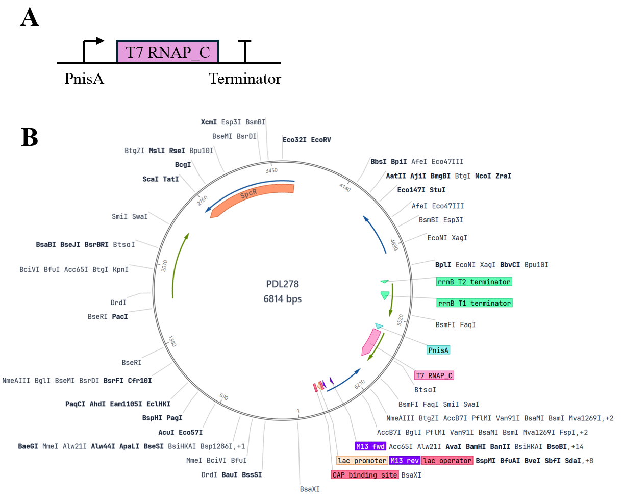 Protocol figure