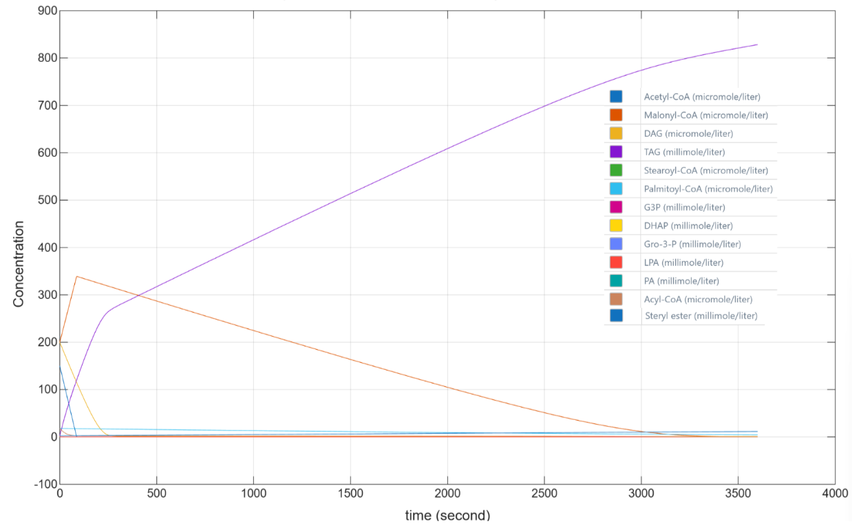 Figure 4: Concentrations of all metabolites involved in the TAG synthesis pathway in Saccharomyces cerevisiae cell modelled over time