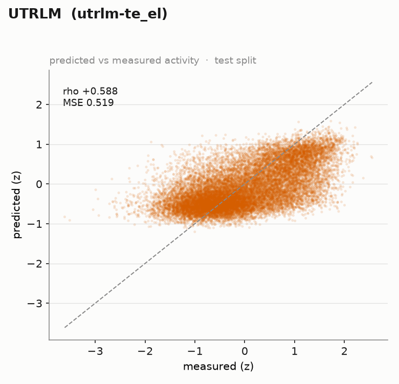 UTR-LM (rho = +0.588, MSE = 0.519)