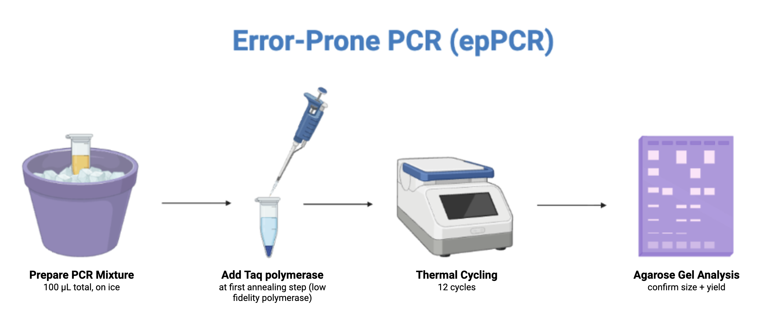 Error Prone PCR