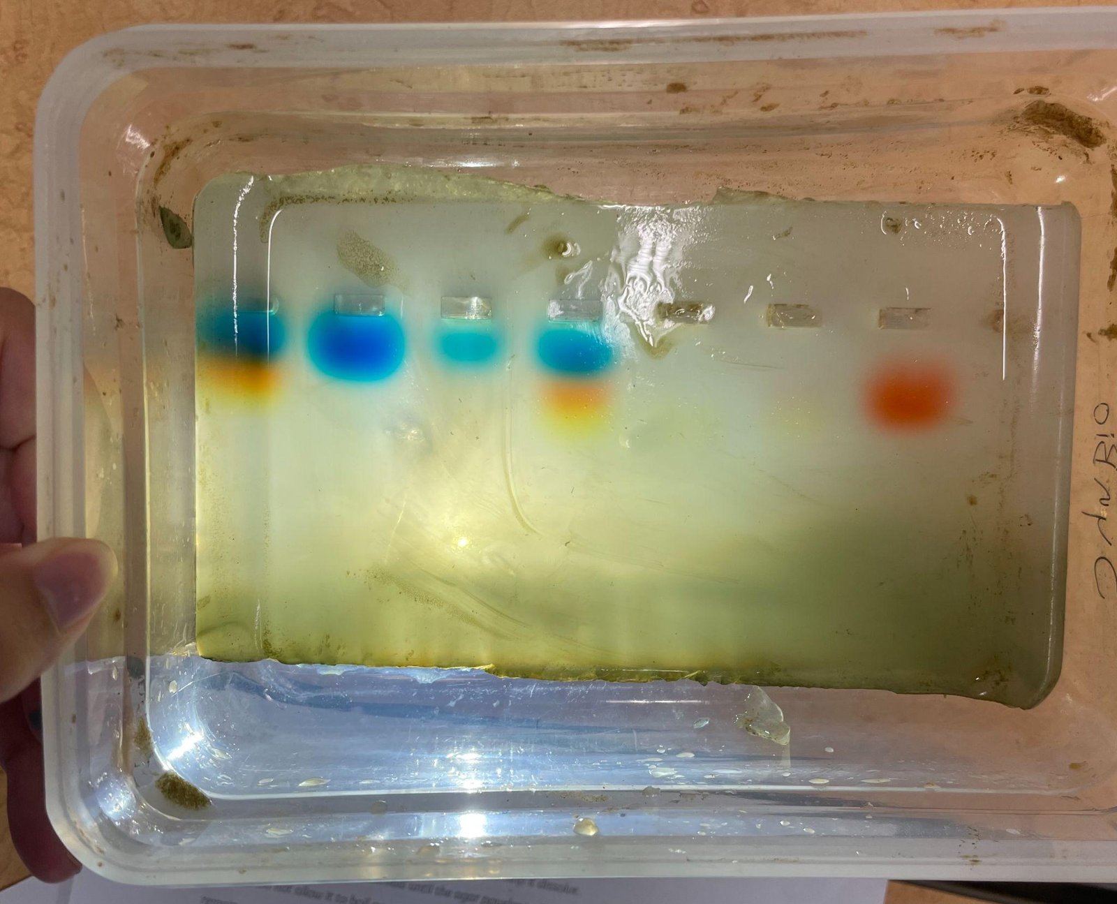 A food colouring gel run by HSI students.