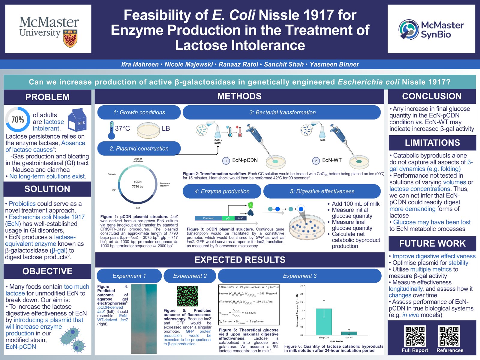 Feasibility of E. coli Nissle 1917 for Enzyme Production in the Treatment of Lactose Intolerance