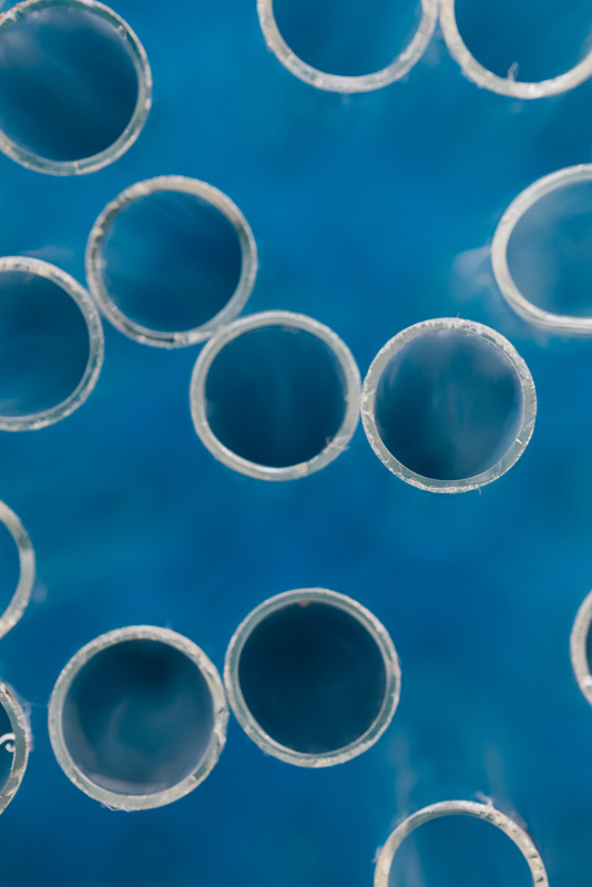 Circular wet-lab result image