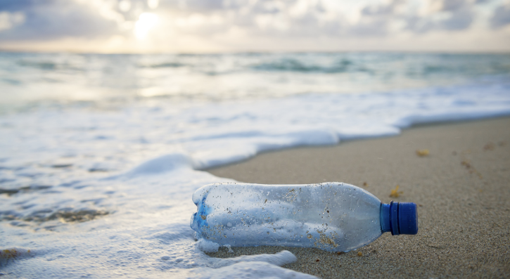 Plastic bottle washed onto a beach