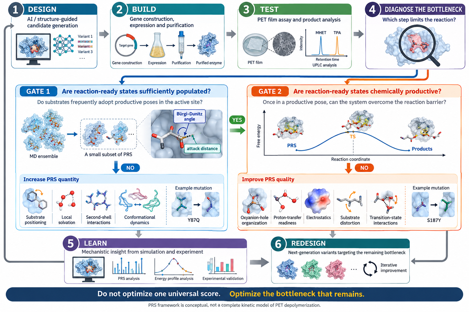 Bottleneck-guided Design-Build-Test-Diagnose-Learn-Redesign cycle. Activity assays establish whether performance has improved, while mechanistic diagnosis identifies the next design target. Gate 1 checks whether the probability of reaching reaction-ready configurations is too low. Redesign then targets substrate positioning, local solvation, second-shell interactions, and protein movement to increase PRS quantity. Once these states are readily accessible, Gate 2 checks whether their chemical productivity is still insufficient. Designs to improve PRS quality can focus on oxyanion-hole organization, proton-transfer readiness, electrostatics, substrate distortion, and transition-state interactions. MD, PRS analysis, and quantum chemistry are used sequentially as diagnostic tools, without combining their results into a single universal score.