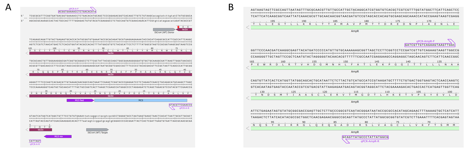 Fig. 1. qPCR primers.