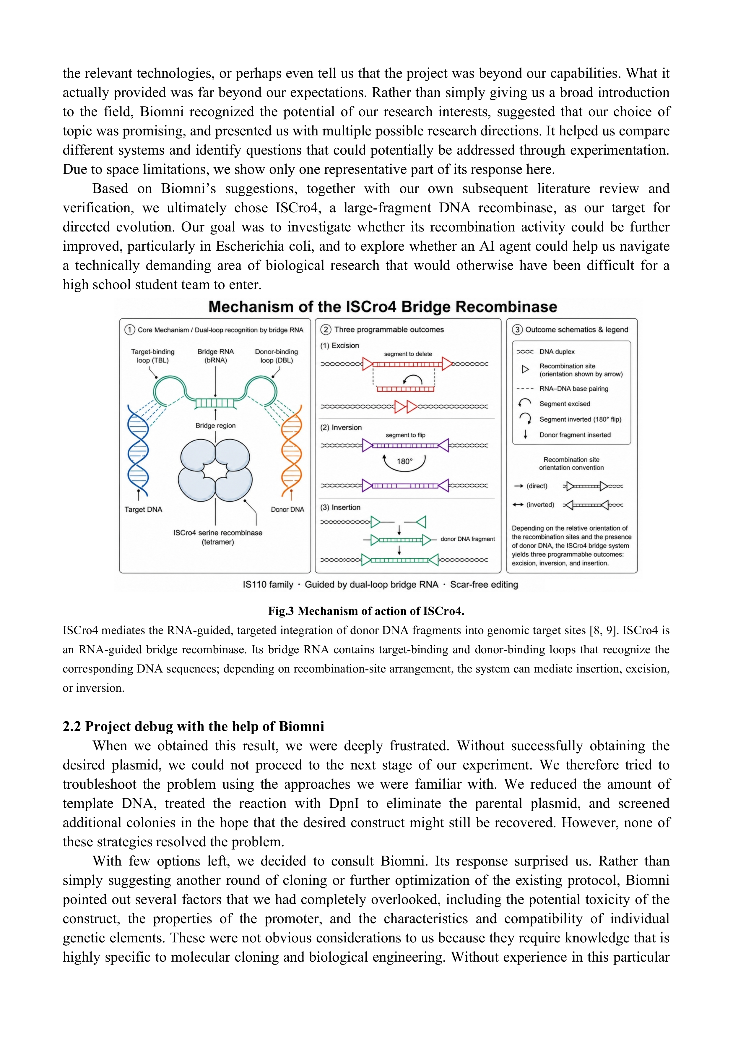 Original iDEC report, page 4 of 14. Open the original PDF for selectable text and full-resolution figures.