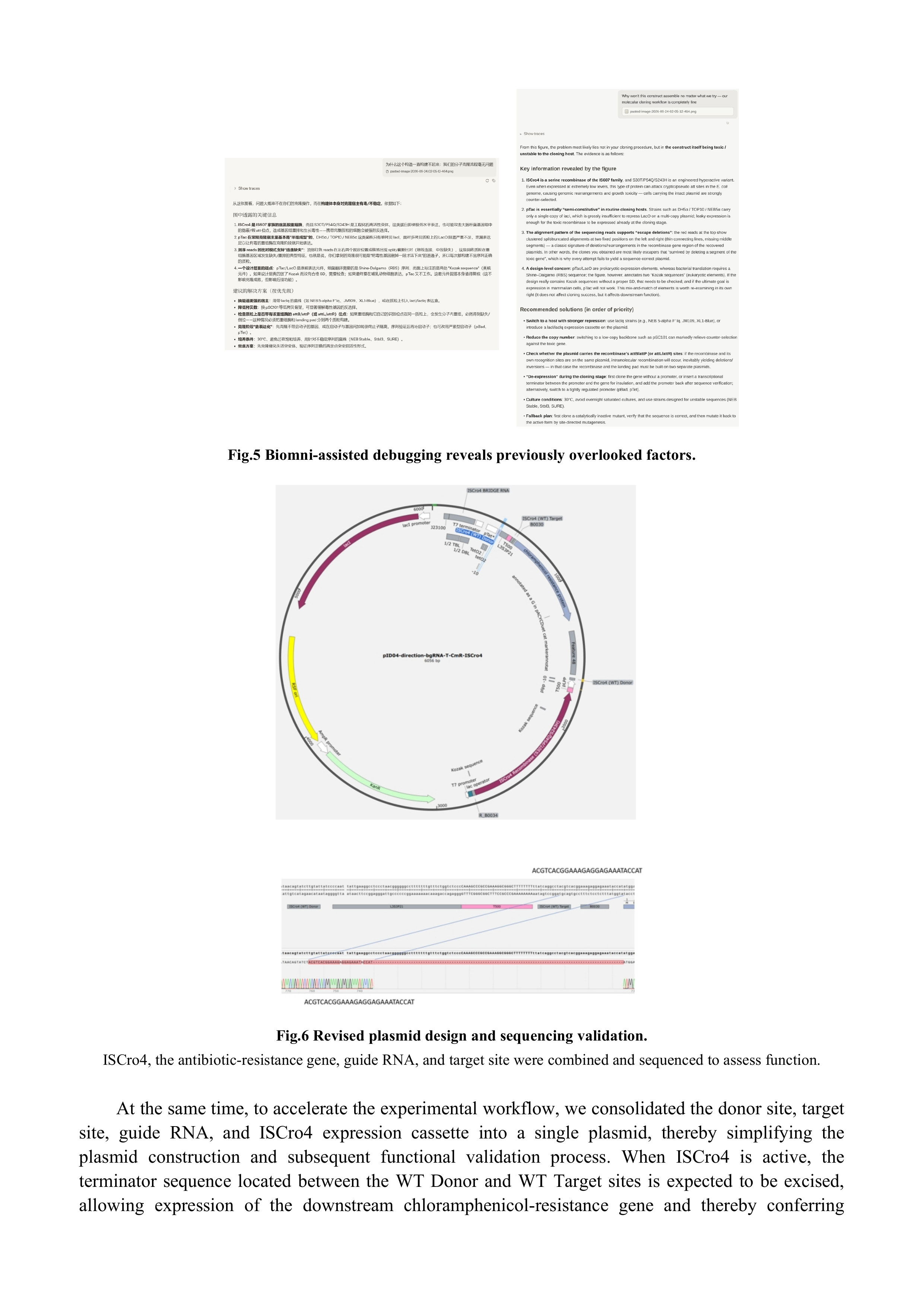 Original iDEC report, page 6 of 14. Open the original PDF for selectable text and full-resolution figures.